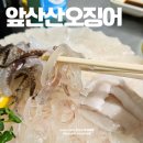 앞산산오징어 이미지