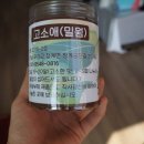 무안곤충농장 이미지