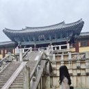세계의 차문화 | 여름휴가 경주 가볼만한곳 불국사 석굴암 세계문화유산 여행 후기