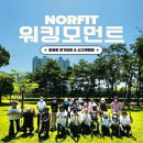 (주)놀핏