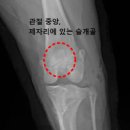 동백동물병원 이미지