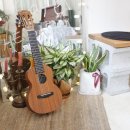 기타렐레(우쿨렐레) 이미지