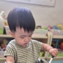 창의의 숲 이미지