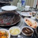 돈나라우나라 이미지