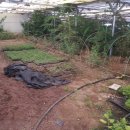 의구농장 이미지