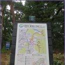 둘레길8구간 Daum카페