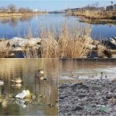 갯목 입구 이미지