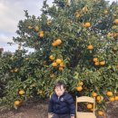 유민농장 이미지