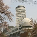 H8173 Daum카페