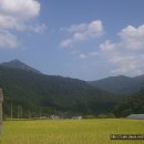 성주 용봉리 입석 이미지