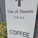 트리오브헤븐 이미지