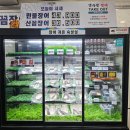 풍천장어와부산꼼장어 이미지