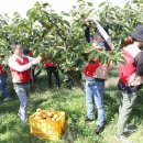 롯데아울렛 수완점 이미지