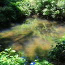 궷물오름 이미지