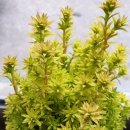 두봉농장 이미지