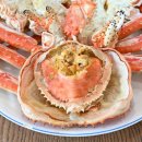 해저도시 이미지