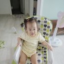 유아식탁의자, 고민끝에 크라크라 멀티체어 리얼 후기