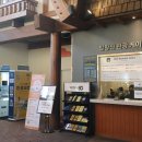 준카프라자 이미지