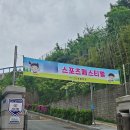 부산 초등학교 운동회 - 다대초등학교 (04월26일 금요일) - ☆튼튼☆ 체육 & 이벤트 행사 이미지