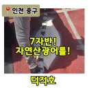 친절한푸른약국 | [인천 배낚시] 덕적호 리얼 후기! 주차 꿀팁부터 서해 광어 낚시 성공 전략까지 총정리