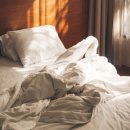 세탁의모든것 이미지