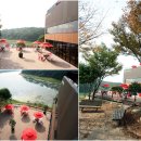 산타로사(santarosa) Daum카페