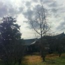 함라파출소 | 익산 함라 삼부잣집과 돌담길