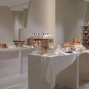 현대화이트 이미지