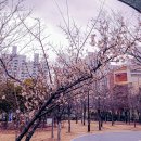 중동공원 이미지