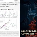 PCR 검사 양성 &#34;코로나19 확진자&#34;의 86%는 실제 감염이 아니었다! 이미지