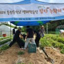흥천중학교 경기데일리
