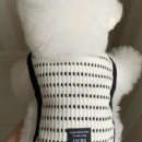 리리랜드 이미지