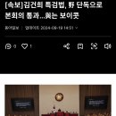 [속보]김건희 특검법, 野 단독으로 본회의 통과…與는 보이콧 이미지