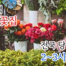 수림화원꽃 이미지