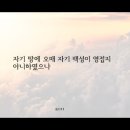 [NLT MDS 8-11-2] 요한복음 1장 11절 이미지