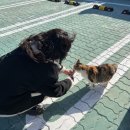귀덕하우스 바당드레 | [제주-함덕/동복리/애월/제주시내]얼레벌레 우당탕탕 새해맞이+생일맞이 고독한 홀로 제주 6박7일 여행기