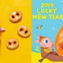 도넛프렌즈 인사이트
