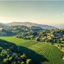 ㈜녹색사람들 이미지