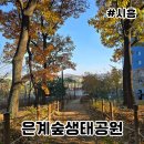 은계숲생태공원 화장실 이미지