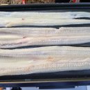 장어여행 이미지