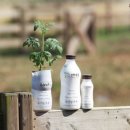 인정목장 이미지