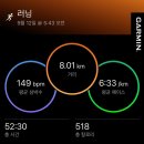 매그니파이