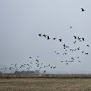 경기둘레길 김포3코스 이미지