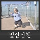 도이터대구