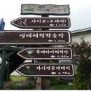 우포가시연꽃마을 네이버블로그