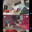 복돌이네 이미지