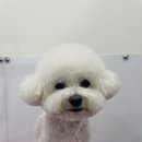 이뻐질개 이미지