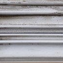 두류공원로 이미지