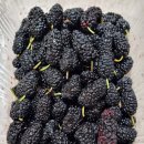 상원농장 이미지