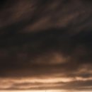 영천돌짜장 이미지